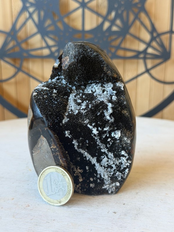 Septaria sauvage (0.46kg)