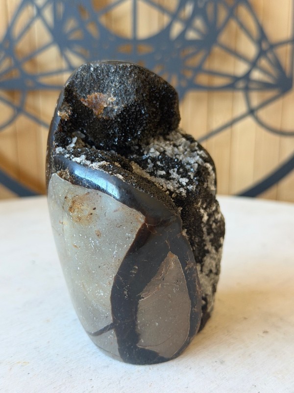 Septaria sauvage (0.46kg)