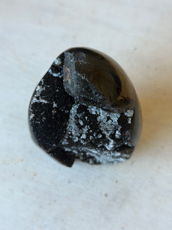 Septaria sauvage (0.46kg)