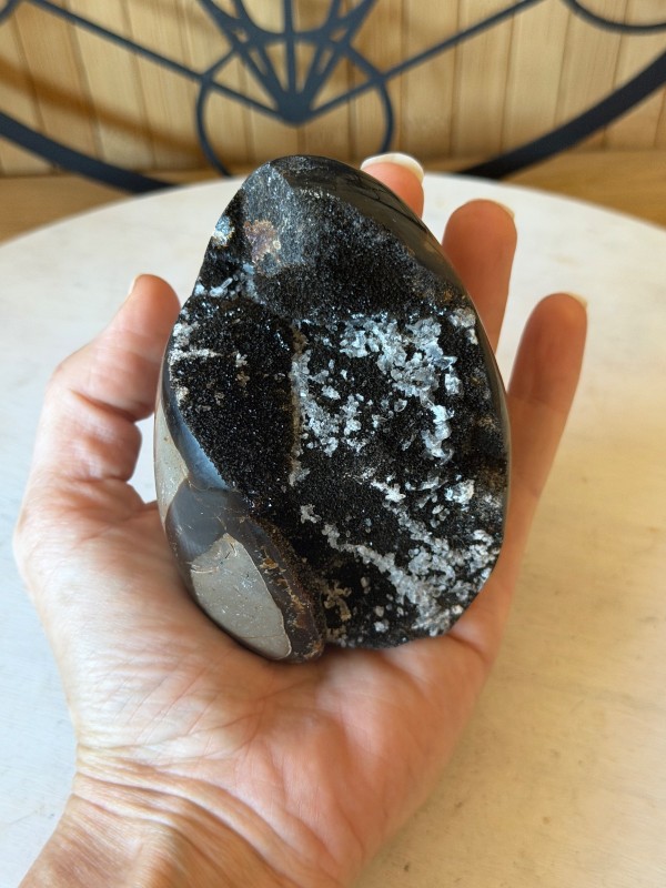 Septaria sauvage (0.46kg)