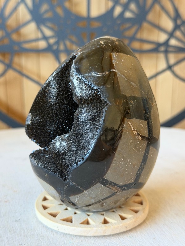 Septaria sauvage (0.435kg)