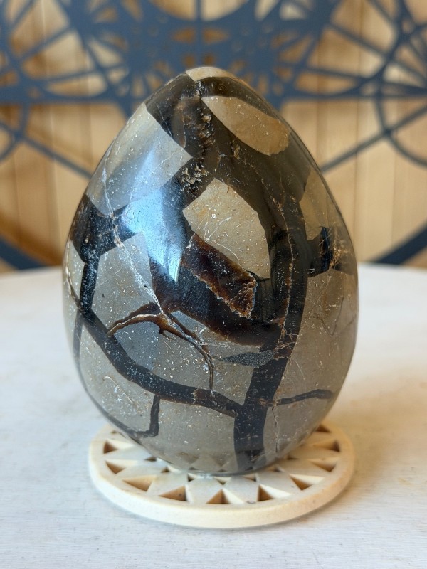 Septaria sauvage (0.435kg)