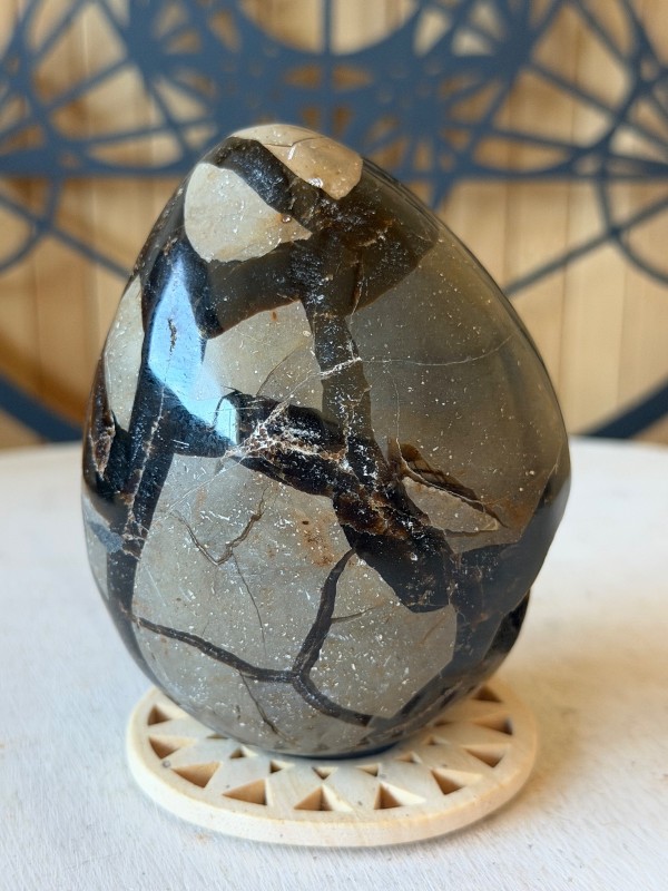 Septaria sauvage (0.435kg)