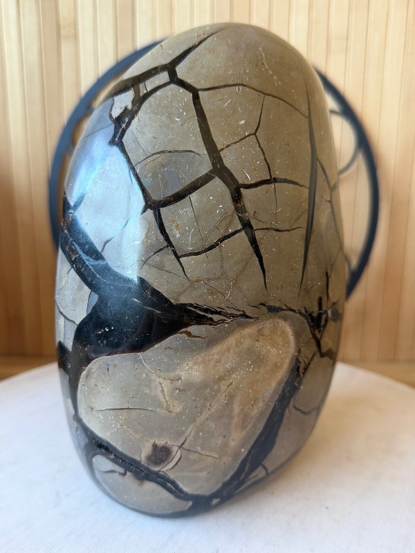 Septaria sauvage (6.2kg)