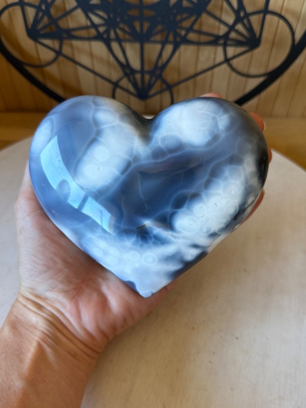 Agate orque (740kg)