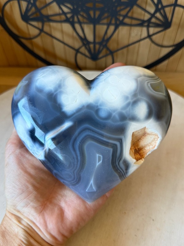 Agate orque (740kg)