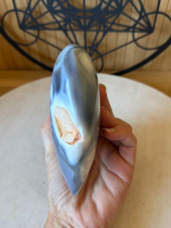 Agate orque (740kg)