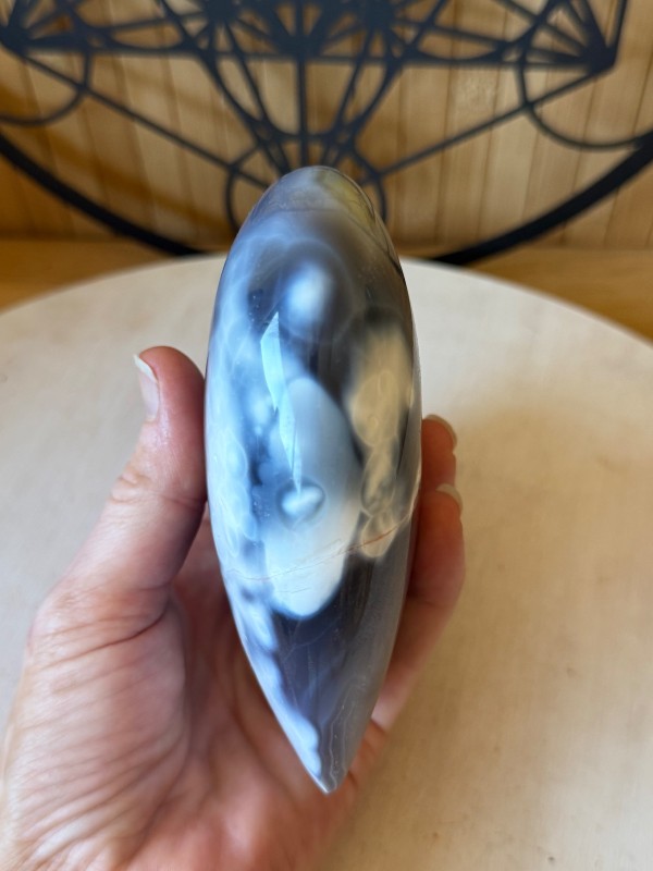 Agate orque (740kg)
