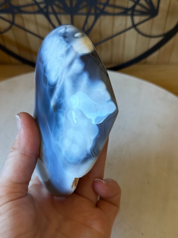 Agate orque (740kg)