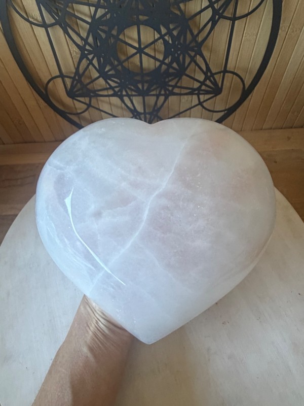 Coupelle en sélénite (1.49kg)