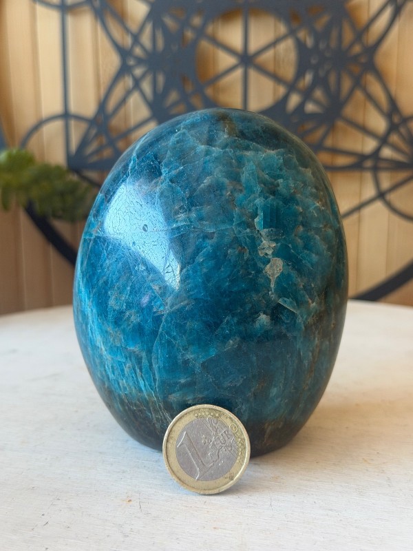 Apatite bleue (0.81kg)