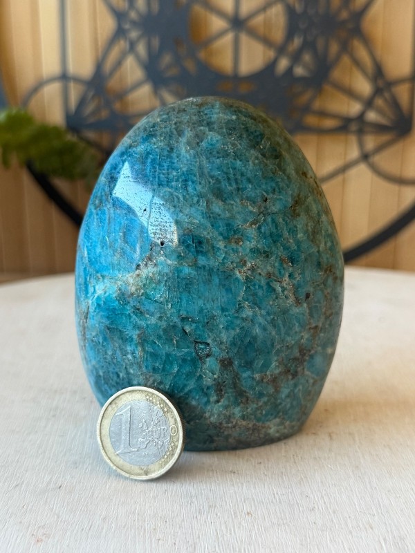 Apatite bleue (0.575kg)