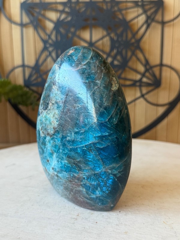 Apatite bleue (0.64kg)