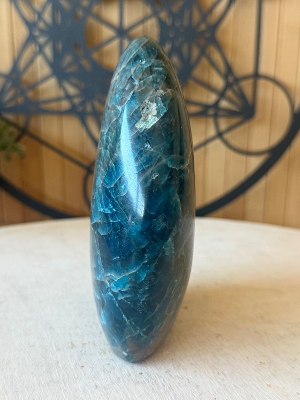Apatite bleue (0.64kg)
