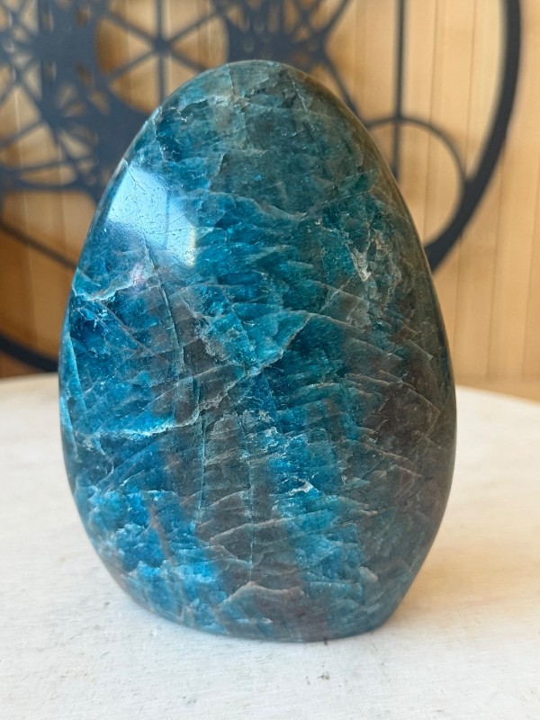 Apatite bleue (0.64kg)