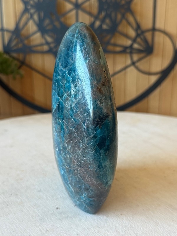 Apatite bleue (0.64kg)