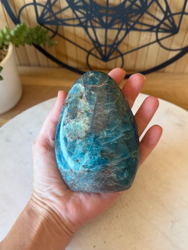 Apatite bleue (0.64kg)