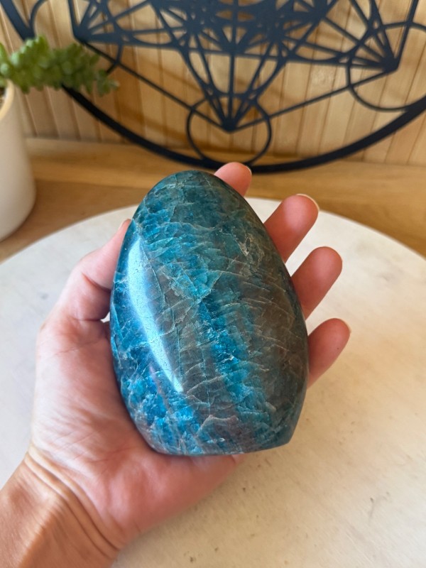 Apatite bleue (0.64kg)