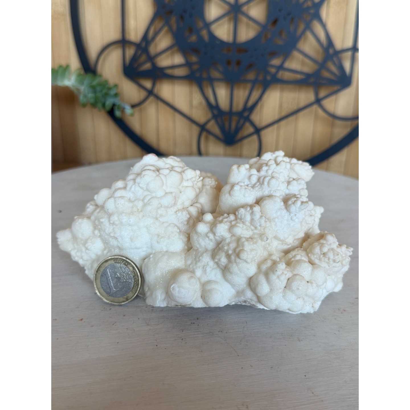 Aragonite blanche (0.765kg)