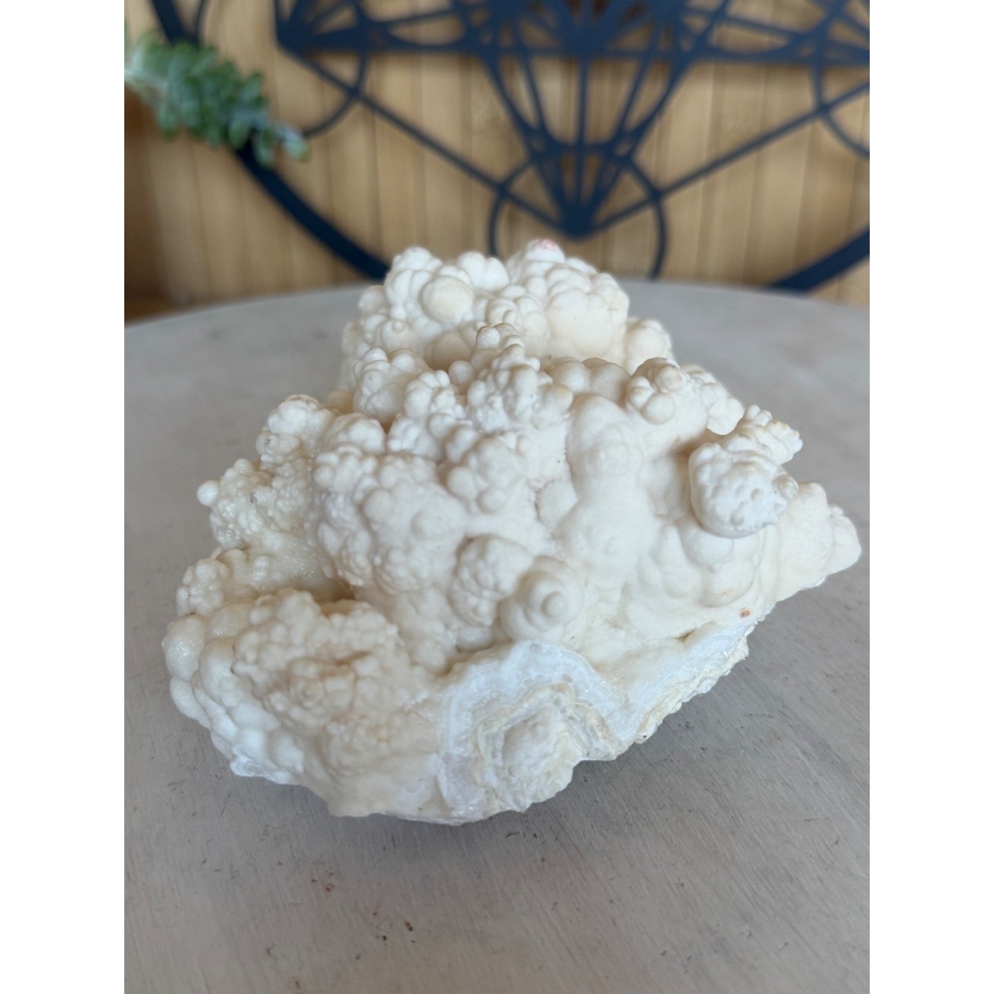 Aragonite blanche (0.765kg)