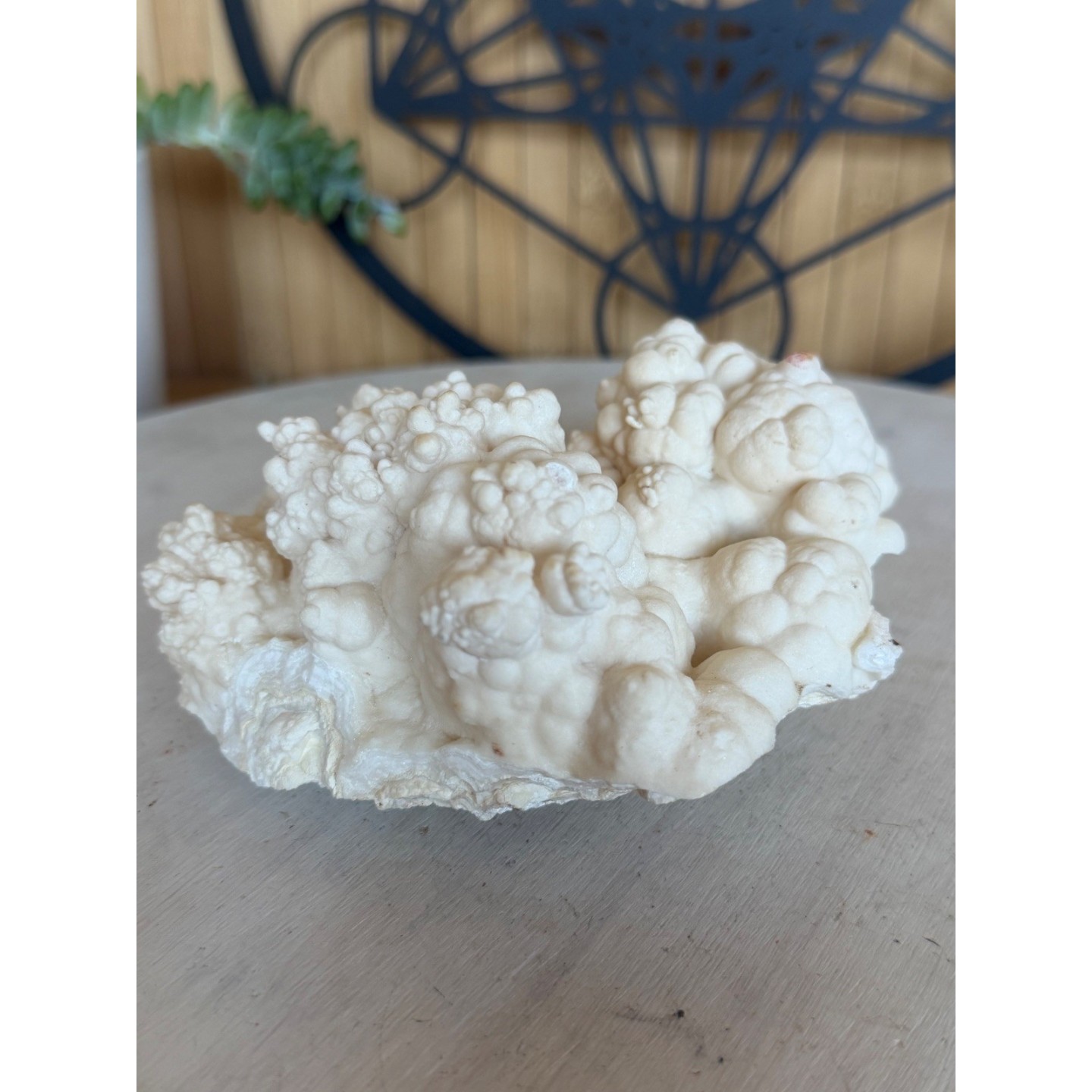 Aragonite blanche (0.765kg)