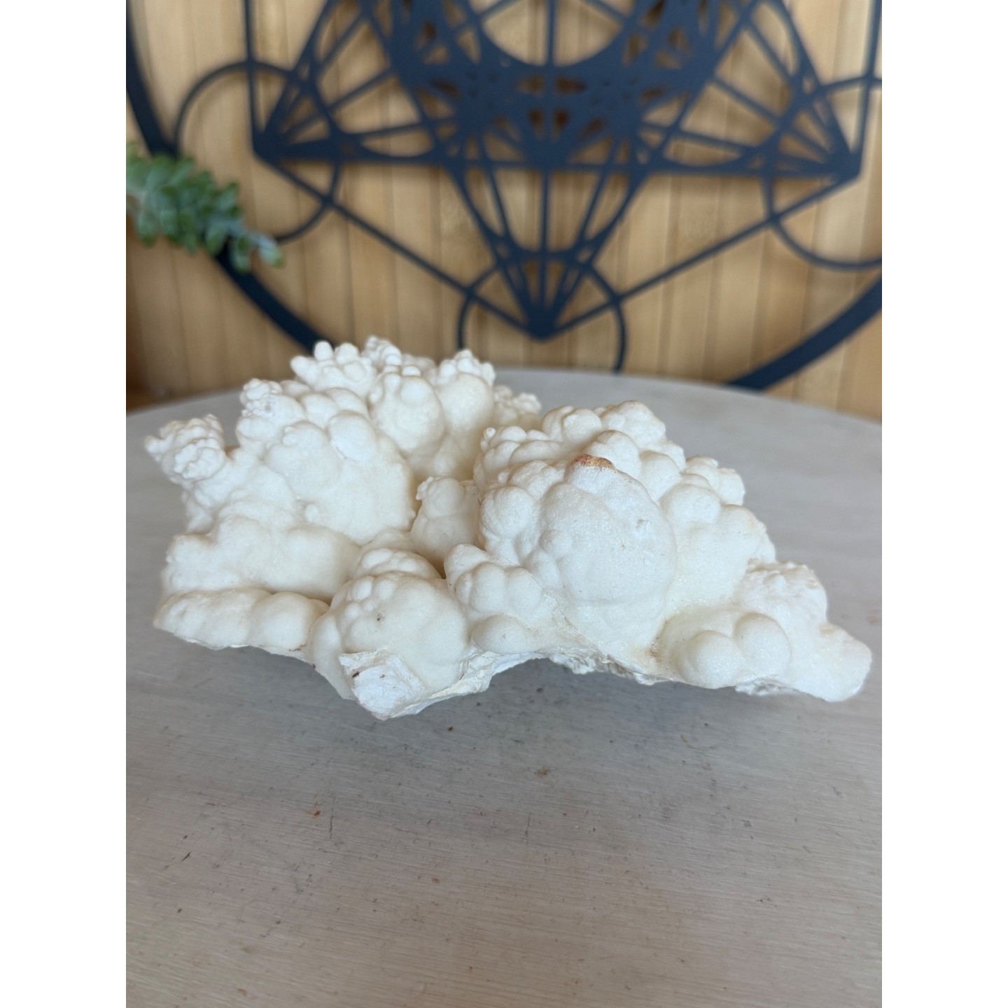 Aragonite blanche (0.765kg)