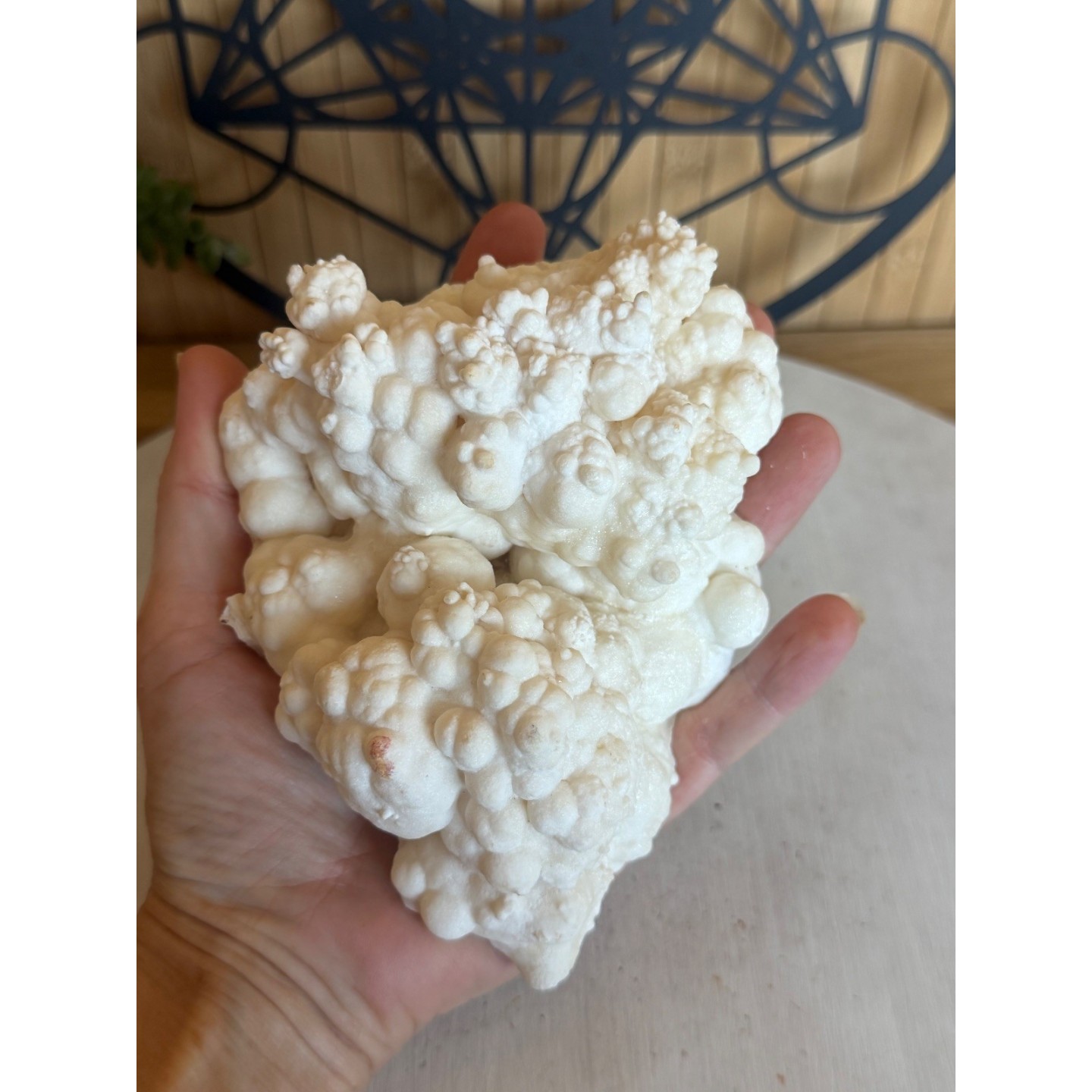 Aragonite blanche (0.765kg)