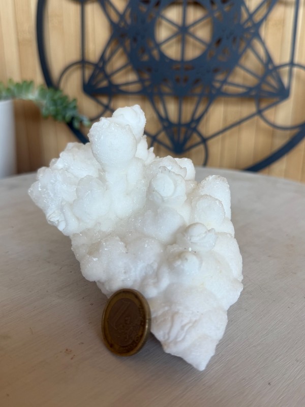 Aragonite blanche (0.605kg)