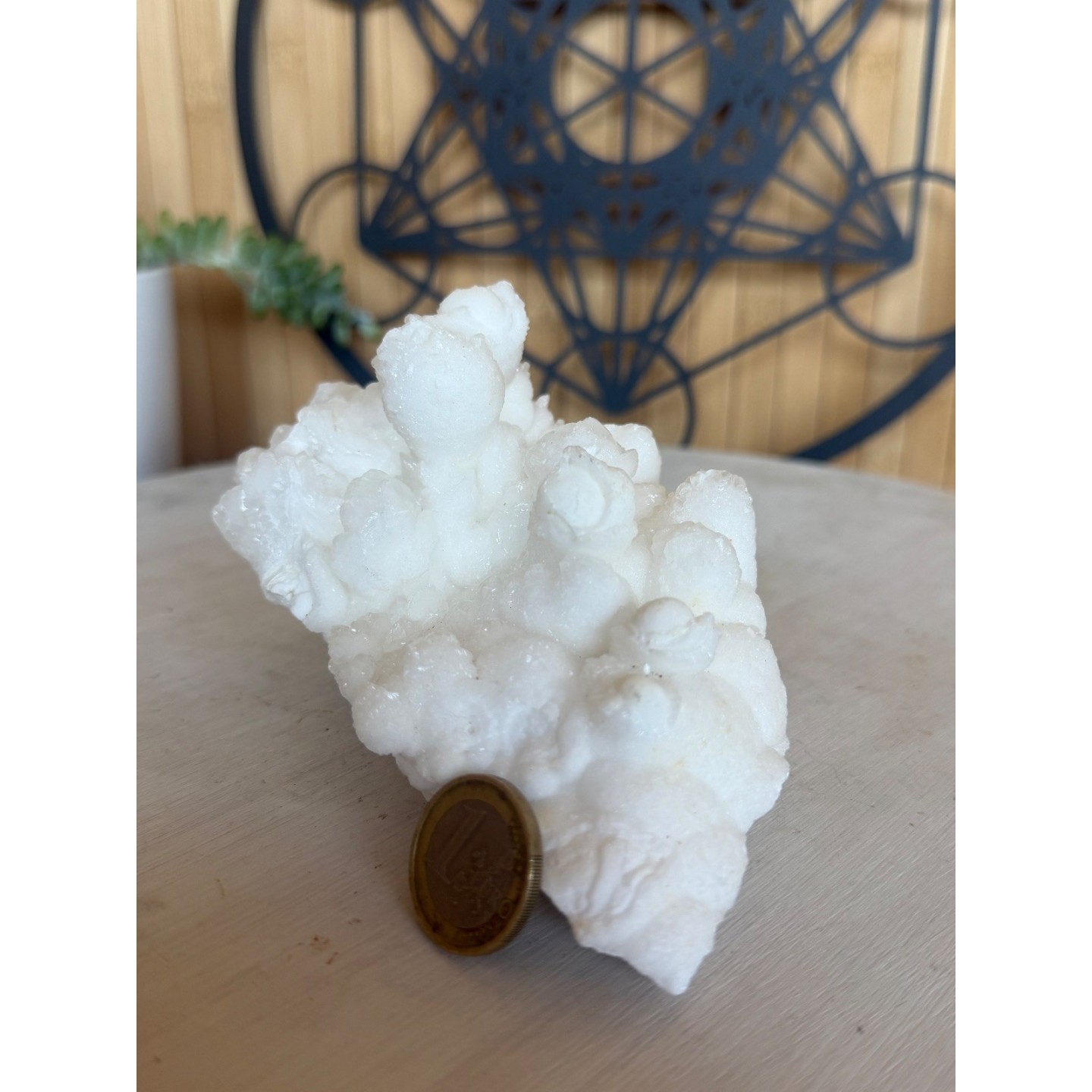Aragonite blanche (0.605kg)