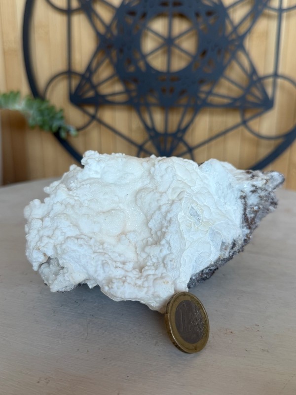 Aragonite blanche (0.665kg)