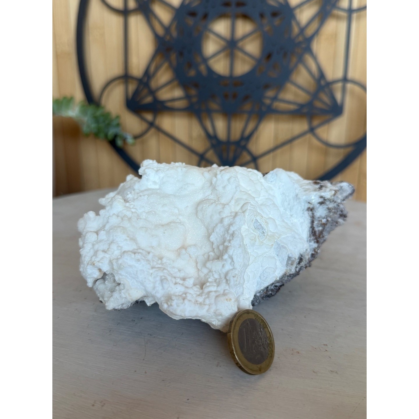 Aragonite blanche (0.665kg)