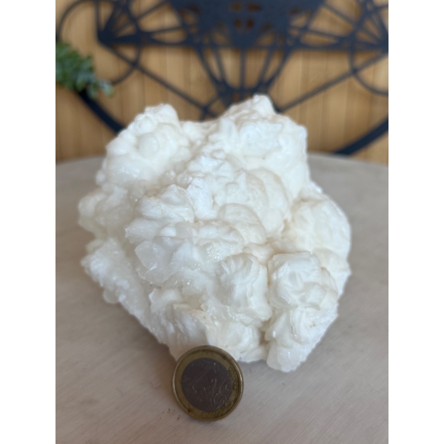 Aragonite blanche (0.83kg)