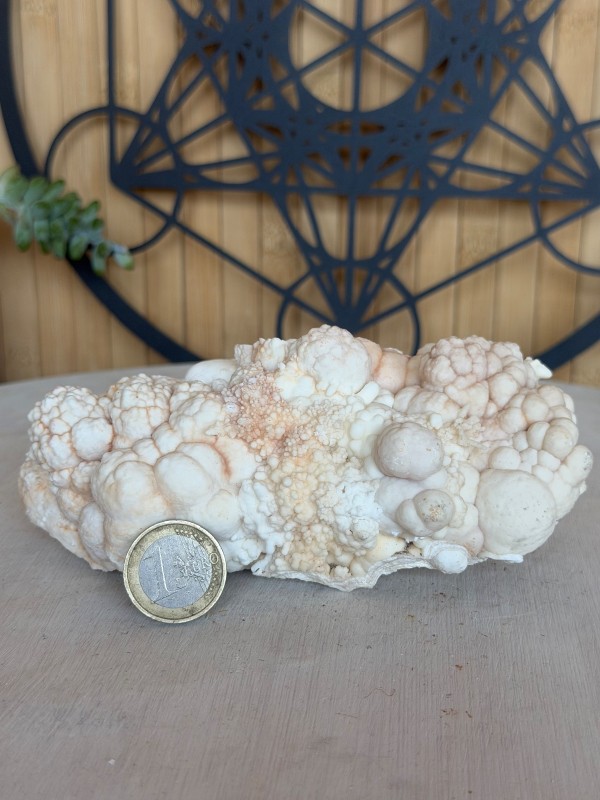 Aragonite blanche (0.685kg)