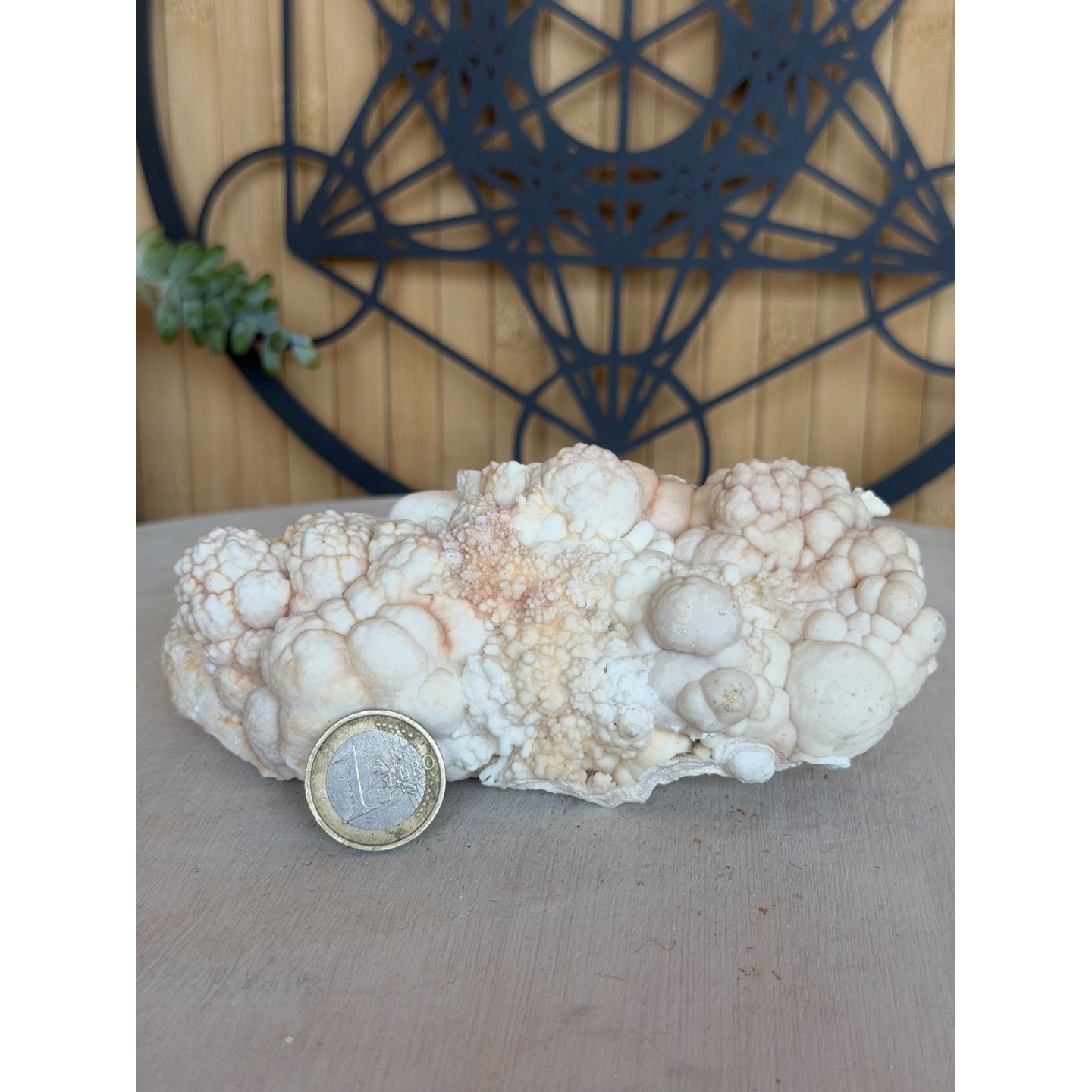 Aragonite blanche (0.685kg)