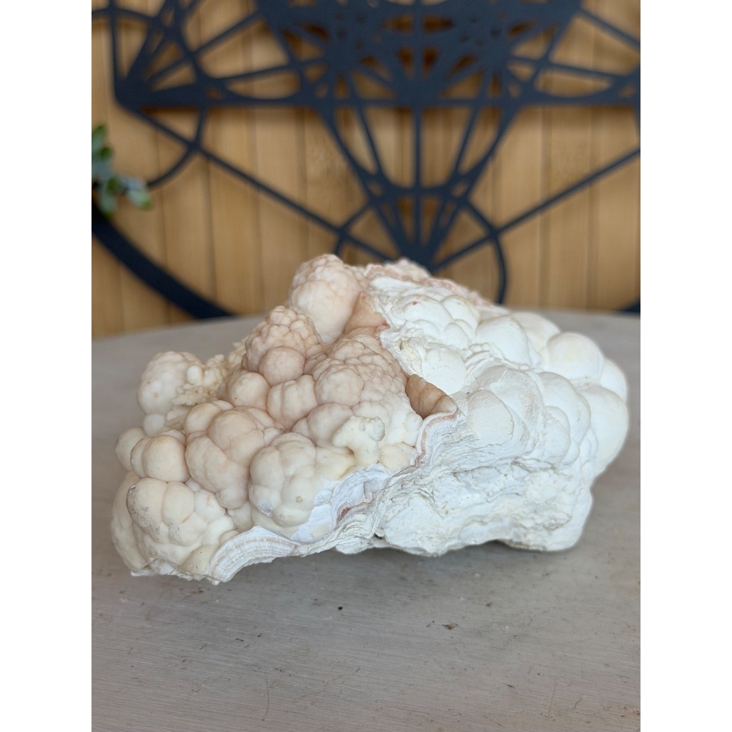 Aragonite blanche (0.685kg)