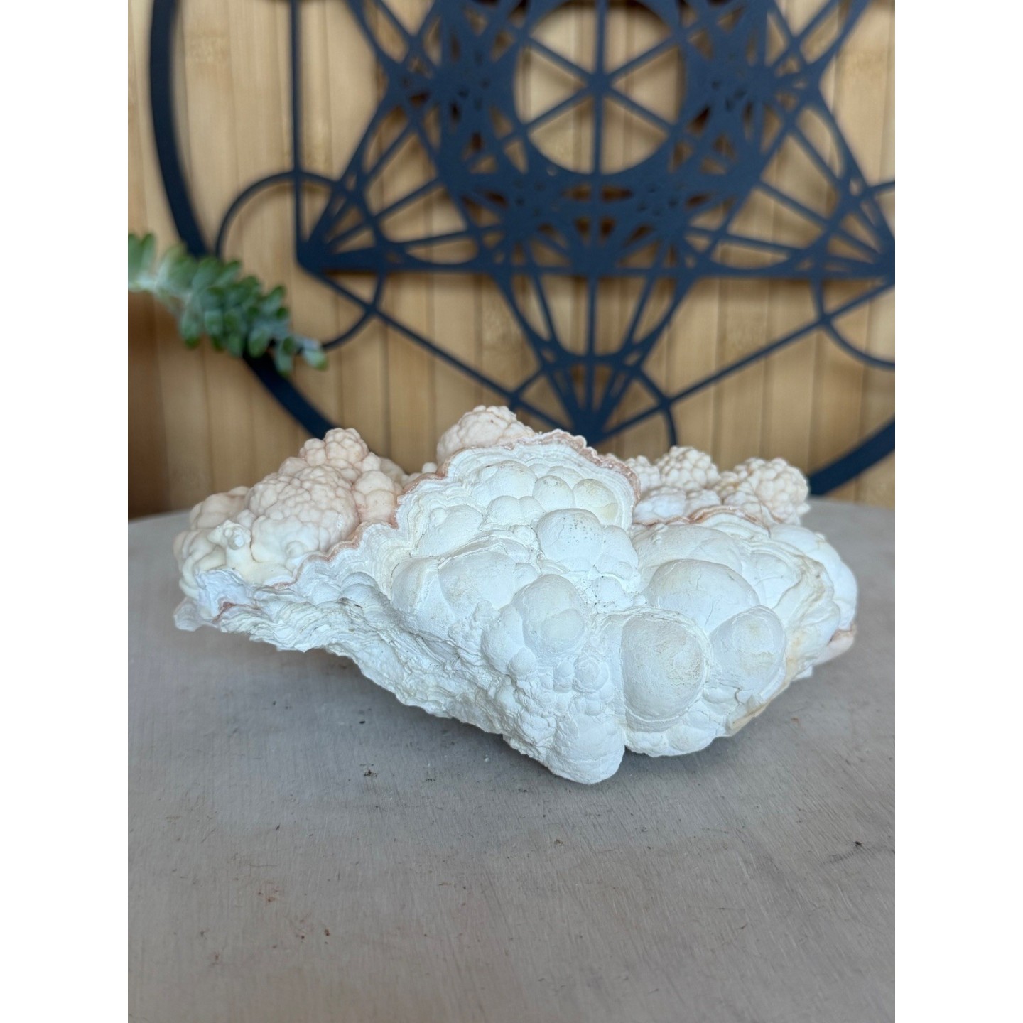 Aragonite blanche (0.685kg)
