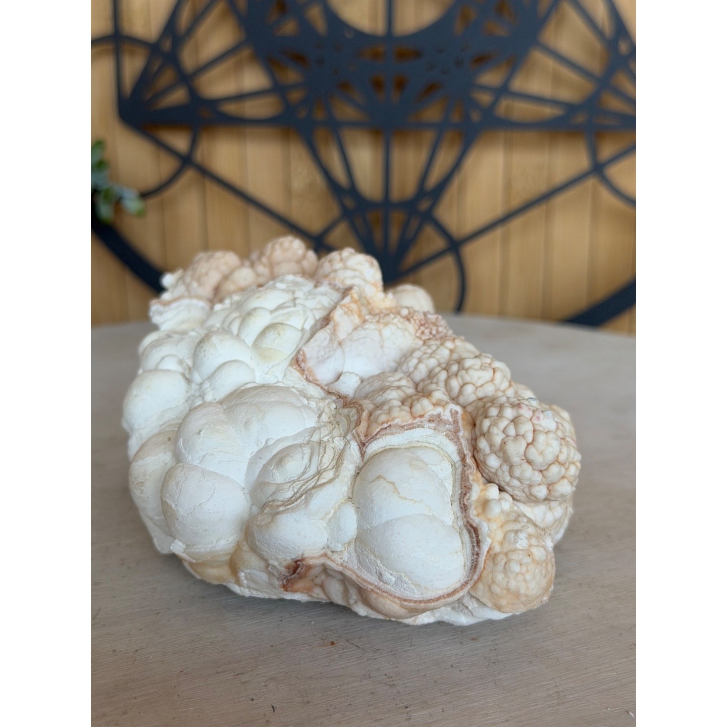 Aragonite blanche (0.685kg)