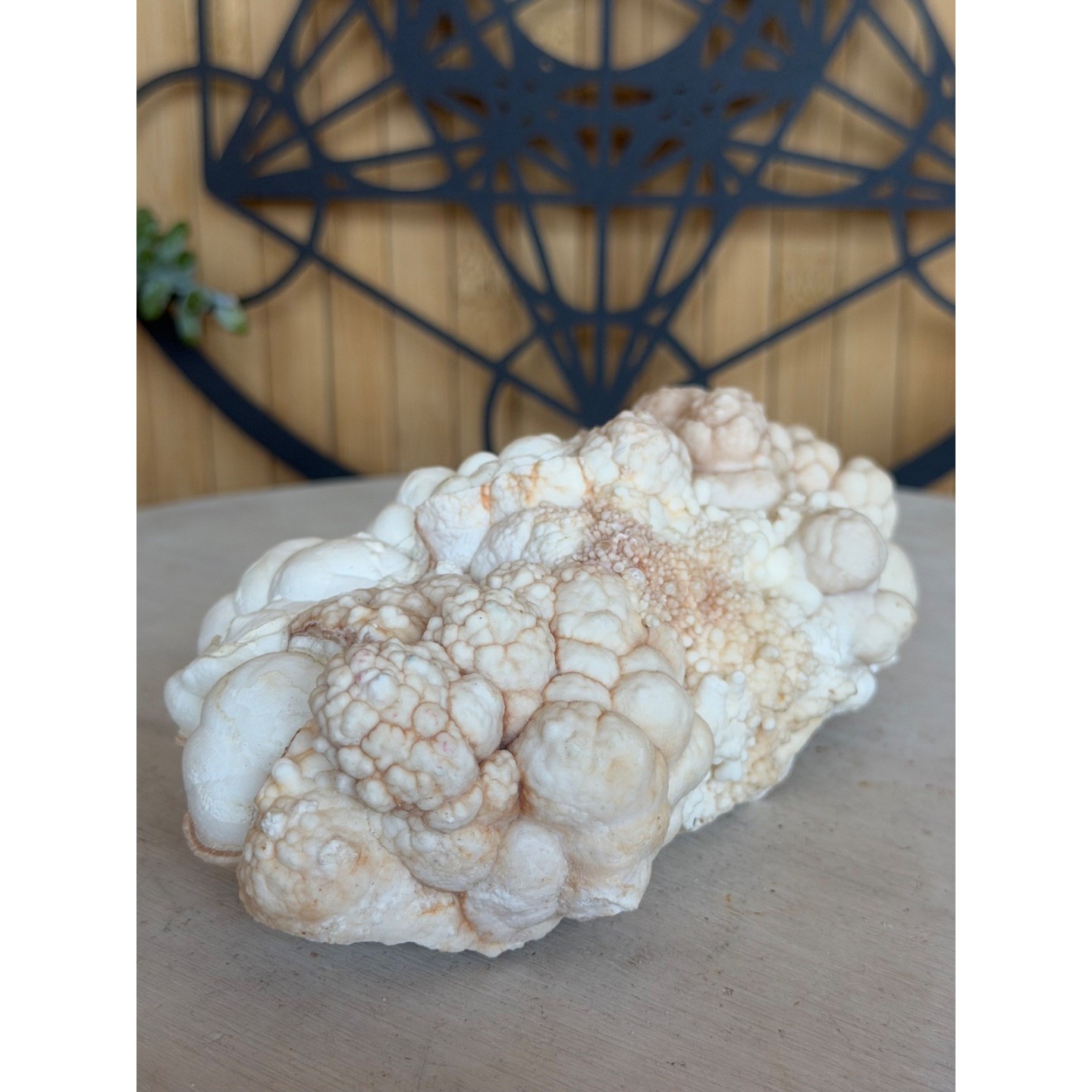 Aragonite blanche (0.685kg)