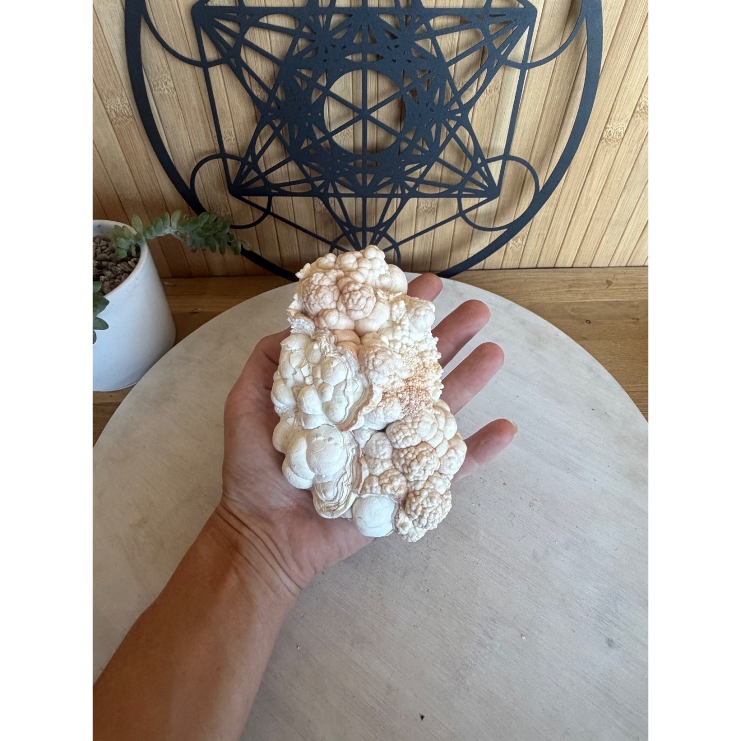 Aragonite blanche (0.685kg)