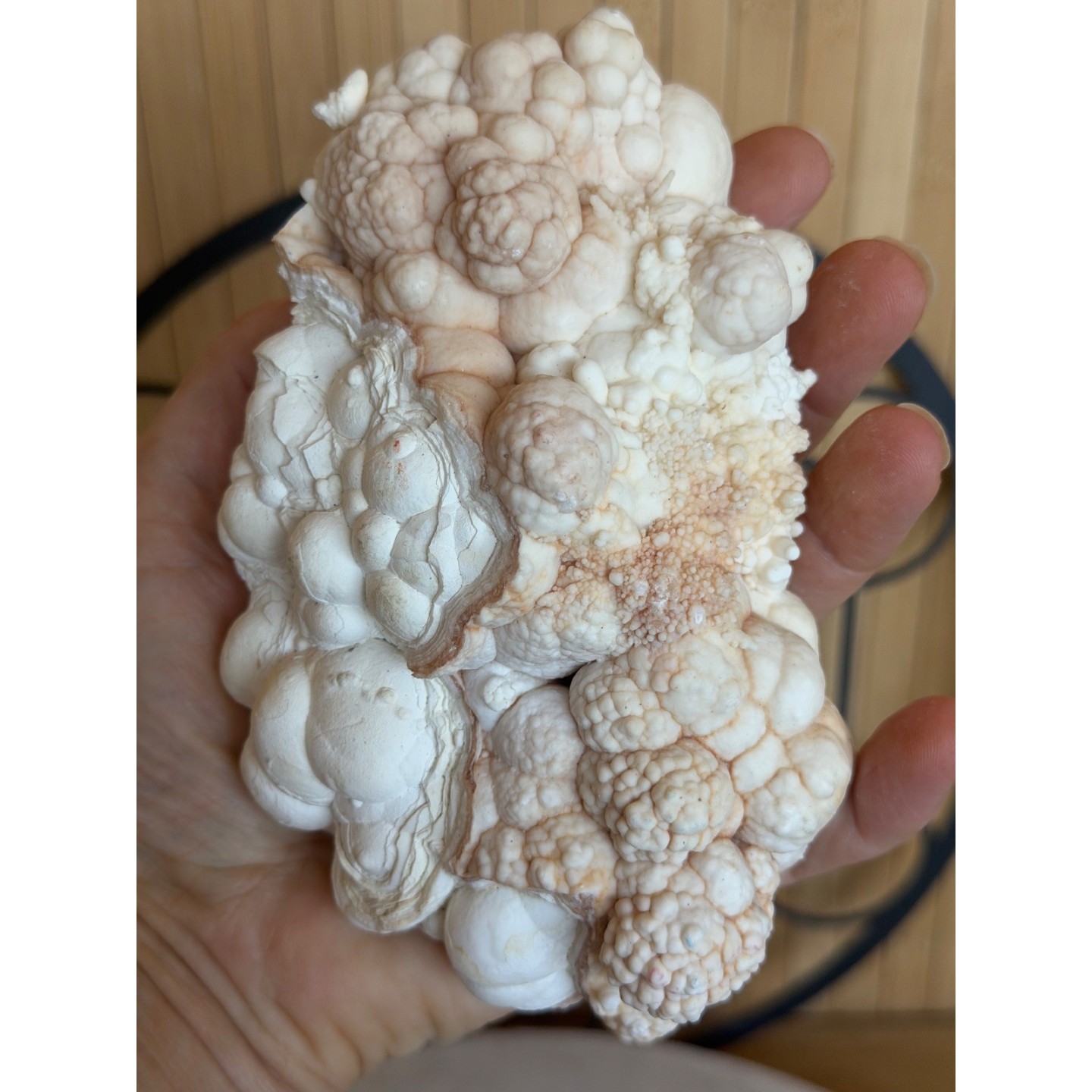 Aragonite blanche (0.685kg)