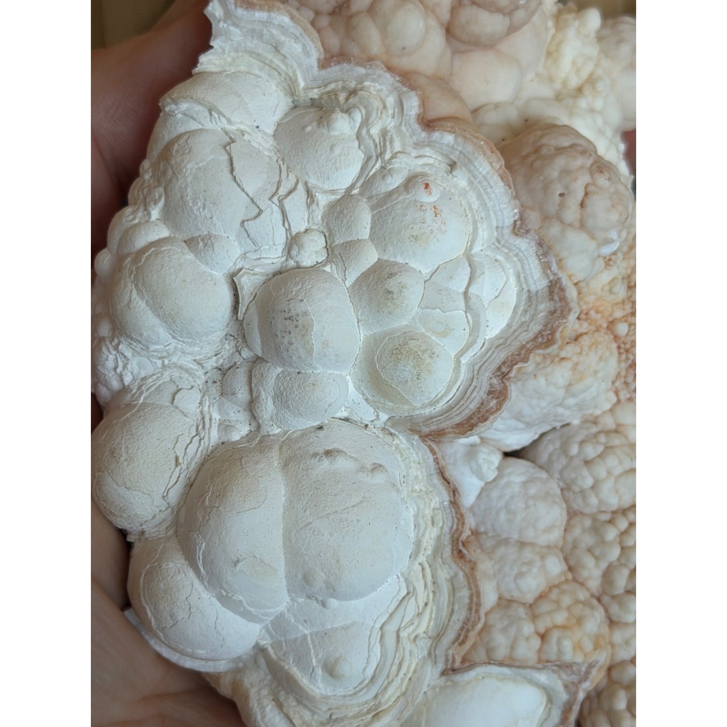Aragonite blanche (0.685kg)