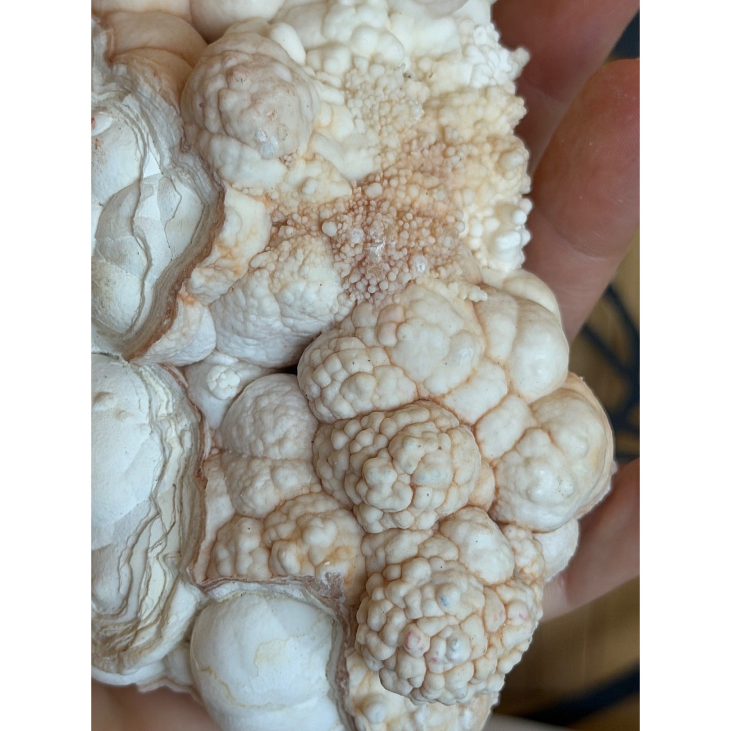 Aragonite blanche (0.685kg)