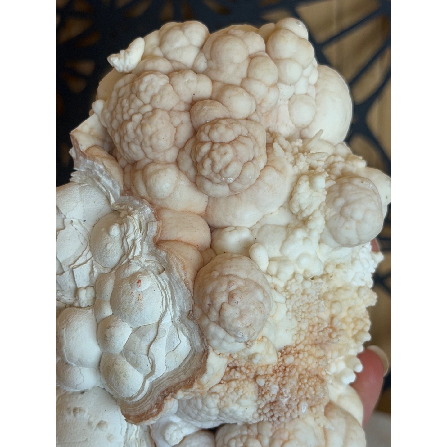 Aragonite blanche (0.685kg)