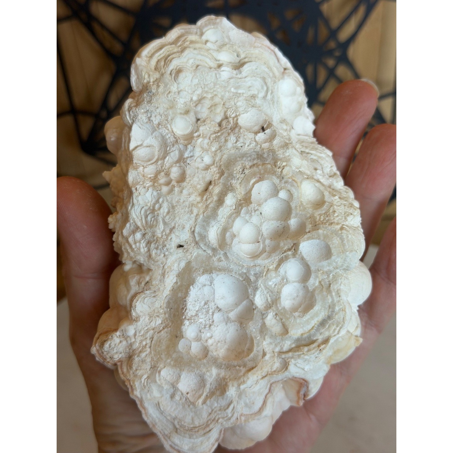 Aragonite blanche (0.685kg)