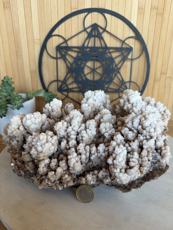 Aragonite (5.295kg)