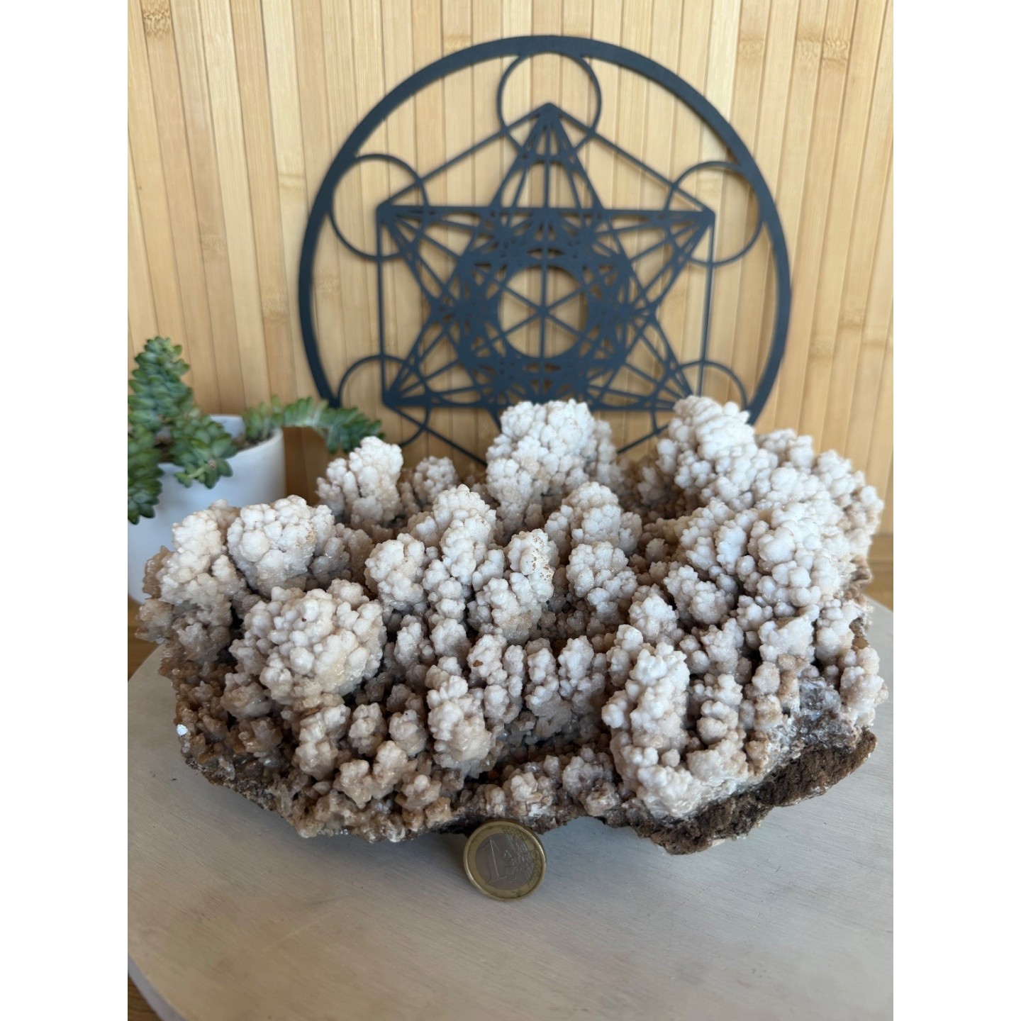 Aragonite (5.295kg)