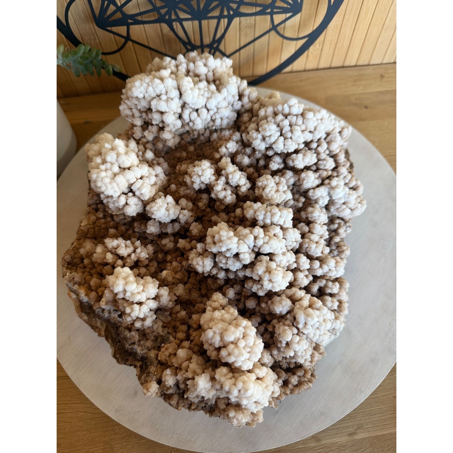 Aragonite (5.295kg)