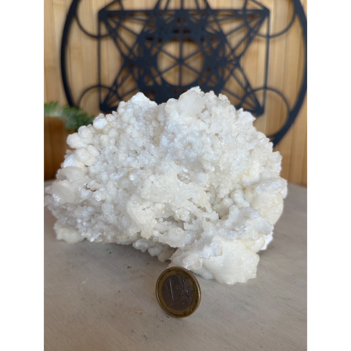 Aragonite blanche (1.21kg)