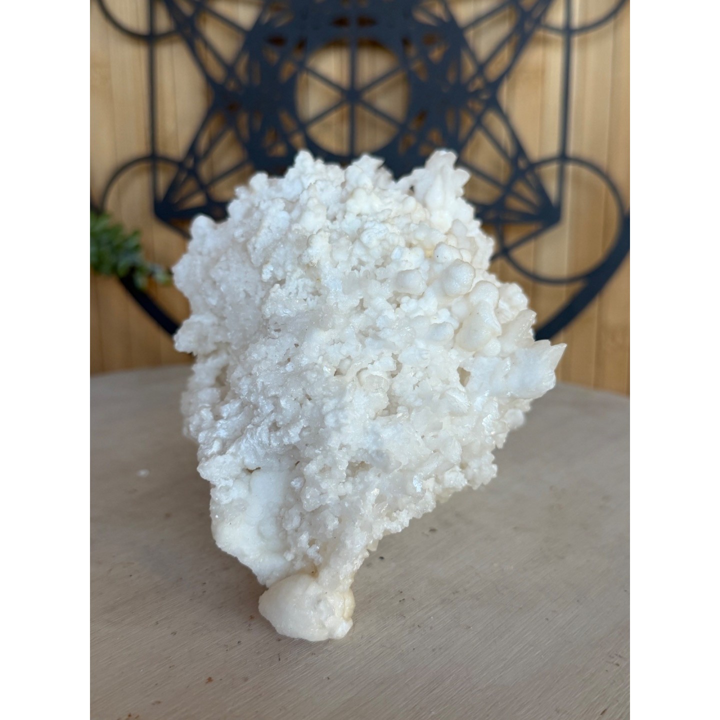 Aragonite blanche (1.21kg)
