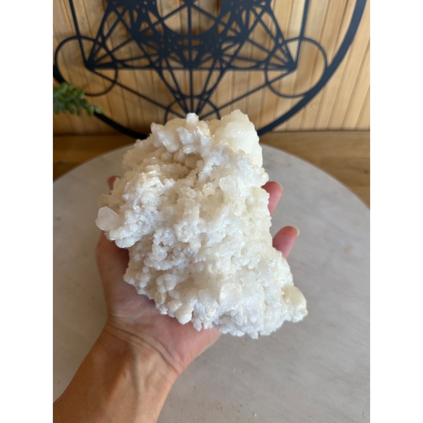 Aragonite blanche (1.21kg)